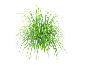Round patch of fresh grass 3d render
