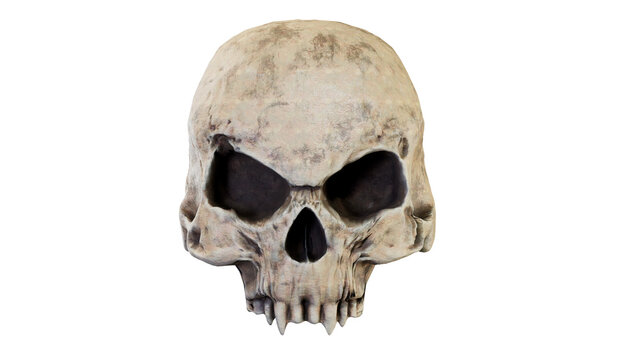 The vampire skull isolated 3d render