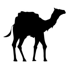 camel walking silhouette