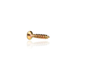 macro screw of golden color on a white background