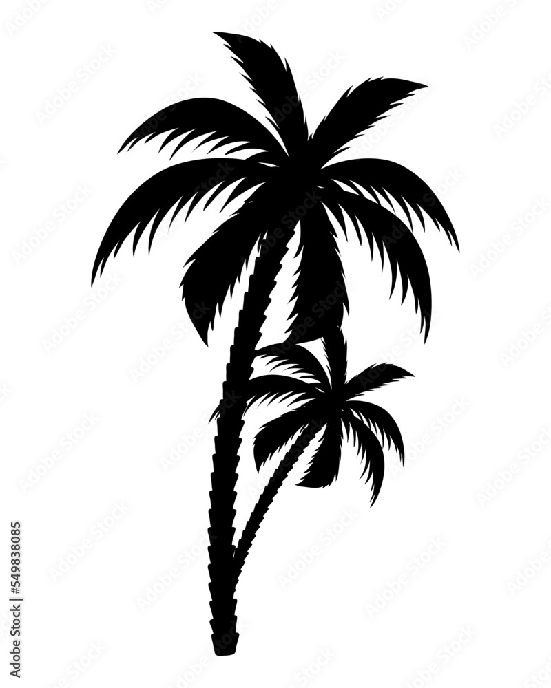 Canvas Prints trees palms silhouettes