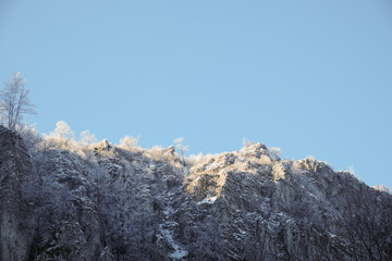 Amazing light falling on top of the steep cliff with frozen, silver trees during winter - 549839407