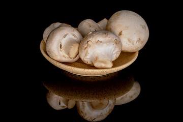 Several whole organic fresh appetizing champignon mushrooms on a ceramic saucer, close-up, on a black background.