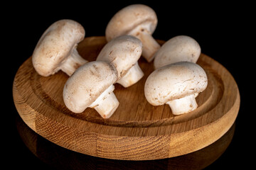 Several whole organic fresh appetizing champignon mushrooms on a bamboo round tray, close-up, on a black background.