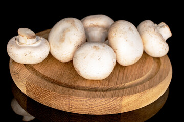 Several whole organic fresh appetizing champignon mushrooms on a bamboo round tray, close-up, on a black background.