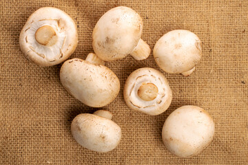 A few whole organic fresh mouth-watering mushrooms champignon on a jute napkin, top view.