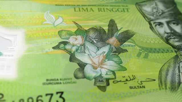 Brunei Brunei Dollar 5 Banknotes, Five Brunei Dollar, Close-up and macro view of the Brunei Dollar, Tracking and Dolly Shots 5 Brunei Dollar banknote Observe and Reserve Side, Brunei Dollar Money