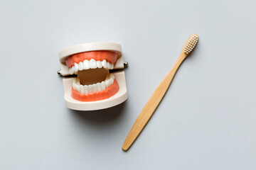 Closeup model of a human jaw with white teeth and Toothbrush. Dentistry conceptual photo. Prosthetic dentistry. False teet top view with copy space