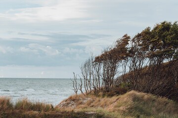 Piece of land and trees in front of a calm sea. Waters washing the shores of a coastline