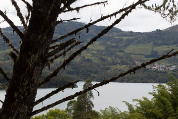 Andean mountains guavio reservoir and colombian gachala town viewed through an old tree branches in sunny day