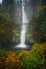 Fototapeta premium waterfall in fall