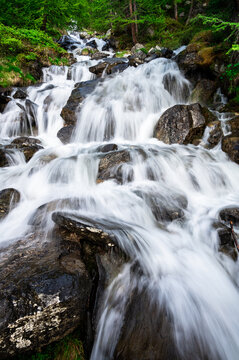 Long exposure of cascades in the forest