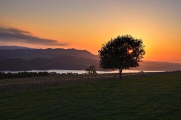 Beautiful evening mountain landscape. Lonely tree in a meadow with beautiful mountains and a lake in the background. Photo taken in Czorsztyn, Poland.