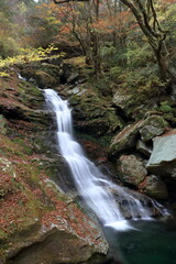 晩秋の滝　瀬戸川渓谷　（高知県　土佐町　蛇渕の滝）