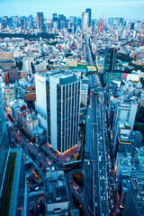 Aerial View of Shibuya, Japan with the Shinjuku skyline in the background