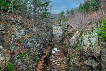 autumn leaves in the dry  quabbin spillway  in late autumn