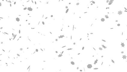 Winter with snow in transparent background.