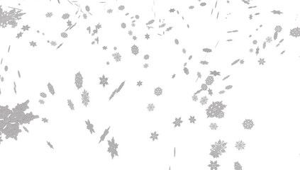 Fototapeta na wymiar Winter with snow in transparent background.