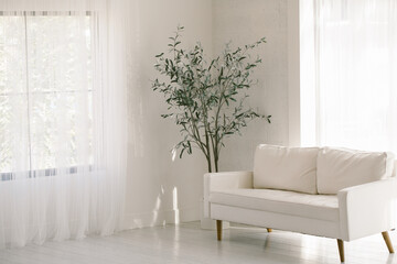 White waiting area in minimal decor with natural window light co