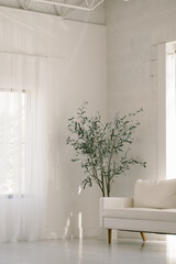 White room in minimal decor with natural window light coming in