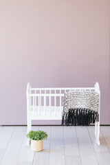 Small baby bassinet with plant next to it in minimal nursery