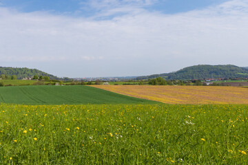 Fototapeta na wymiar Green field with farm fields in the background in the German countryside
