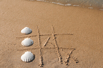 Playing Tic tac toe game with shells on sand near sea. Space for text