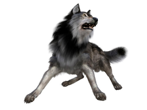 Alert Dire Wolf - The carnivorous Dire Wolf lived in North and South America during the Pleistocene Period.