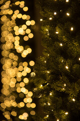 christmas tree lights