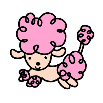 pink poodle, cute cartoon isolated , graphic design for presentation, marketing, art, illustration, t-shirt design, cartoon, comic, advertising, online media