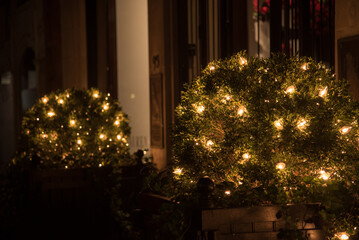 christmas tree in the city