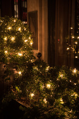 christmas tree lights