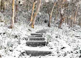 Stairs in Stockyard Spur Canberra, Australia Namadgi National Park