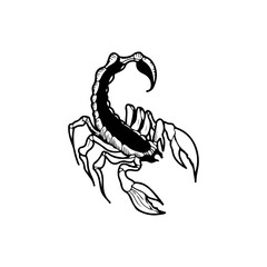 vector illustration of vicious scorpion concept