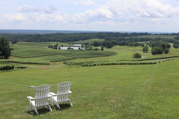 Closeup of Adirondack chairs overlooking a scenic vineyard landscape near Montecillo, Virginia, USA