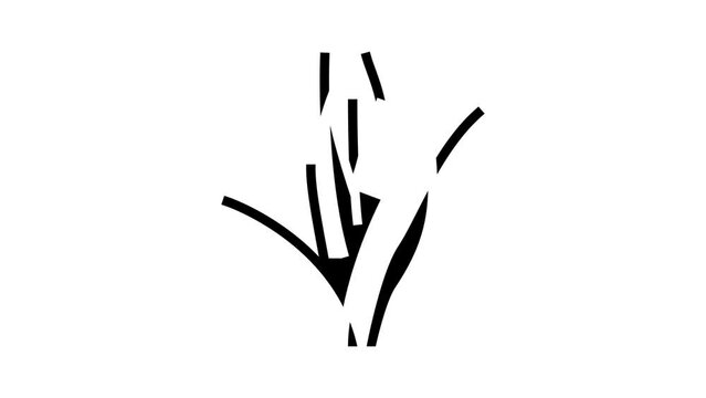 vallisneria spiralis glyph icon animation