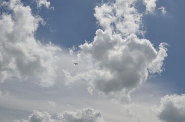 Modern airplane flying in sky with clouds