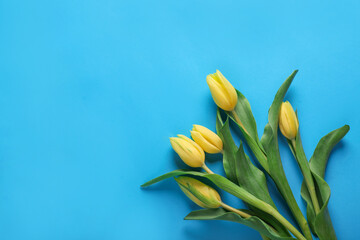 Naklejka premium Many beautiful tulips on blue background, flat lay. Space for text