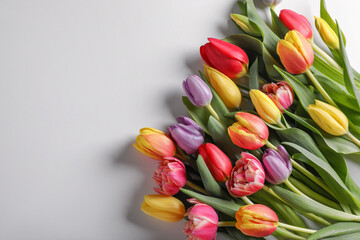 Beautiful tulips on light grey background, flat lay. Space for text