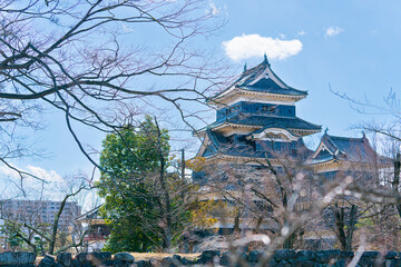 Fototapeta premium 冬の晴れた日に撮影した松本城と周りの木々