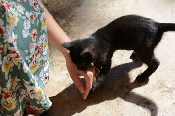 Woman playing with black kitten outdoors, closeup