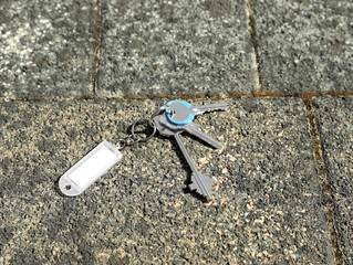 Bunch of lost keys on pavement outdoors