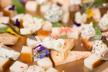Gourmet food, snacks and finger food appetizers from different cuisines