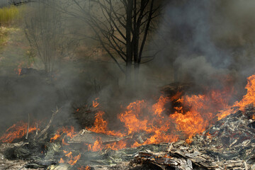 Fire and black smoke. Fire in landfill. Smoke in forest. Illegal landfill.