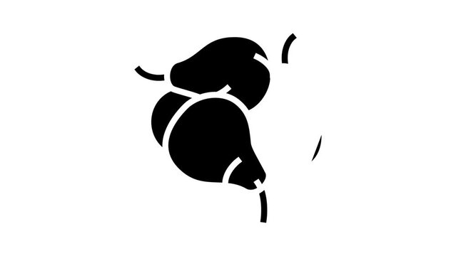 bunch pears glyph icon animation