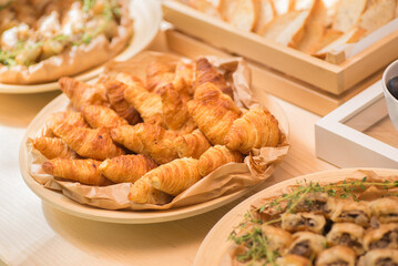 Gourmet food, snacks and finger food appetizers from different cuisines