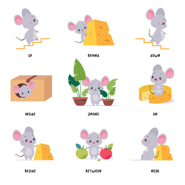 Little Mouse and English Language Preposition for Educational Activity Vector Set