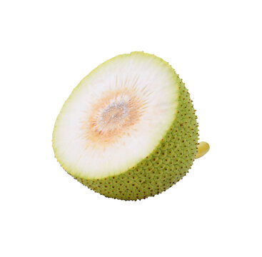 Fresh green breadfruit isolated  transparene png