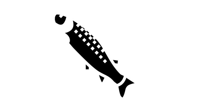 smolt salmon glyph icon animation