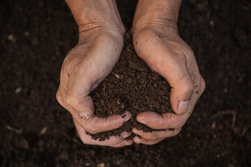 Men's hands love soil for planting trees, World Soil Day.